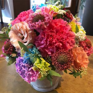 レインボーカーネーション2