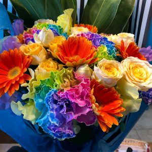 レインボーカーネーション