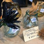 ミニフラワーベース2